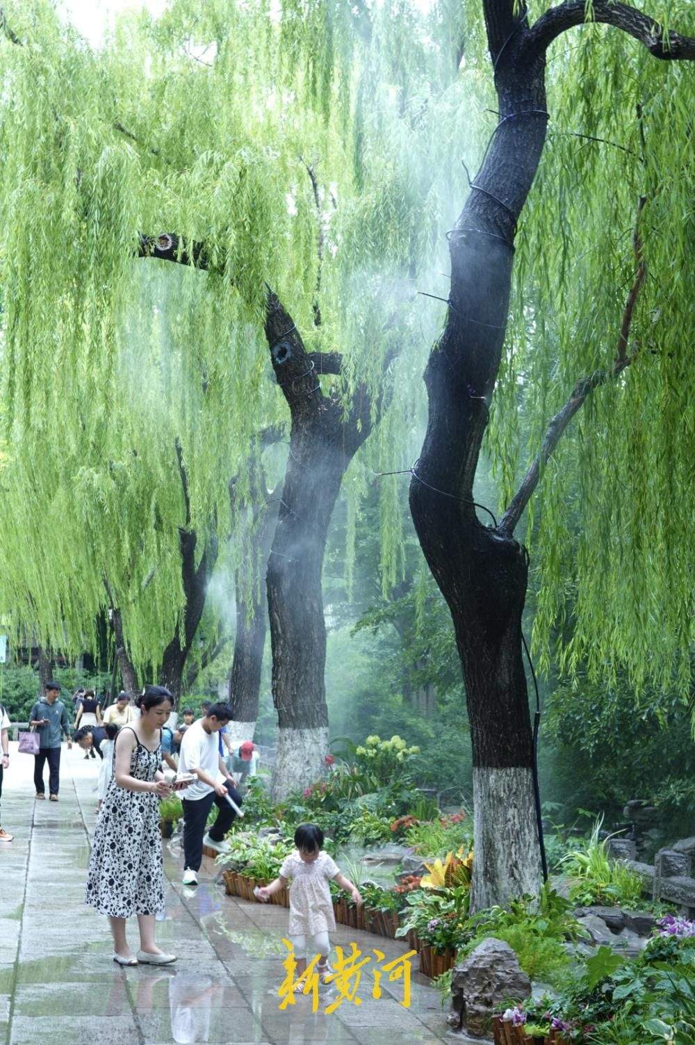 泉水景致焕新 解锁济南夏日泉水纳凉新体验