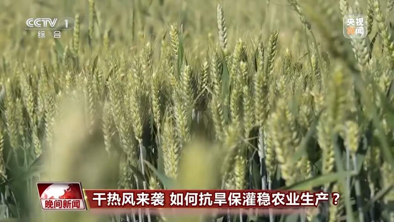 干热风来袭 如何抗旱保灌稳农业生产?