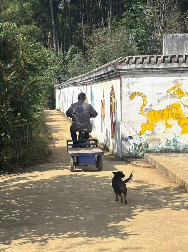 凯里山上的一座动物园走红:一天卖以往四个月的票,70岁守园人用退休金补贴动物