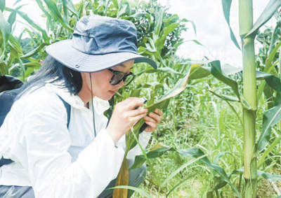 实力圈粉！外国人眼中的中国乡村生活是这样→