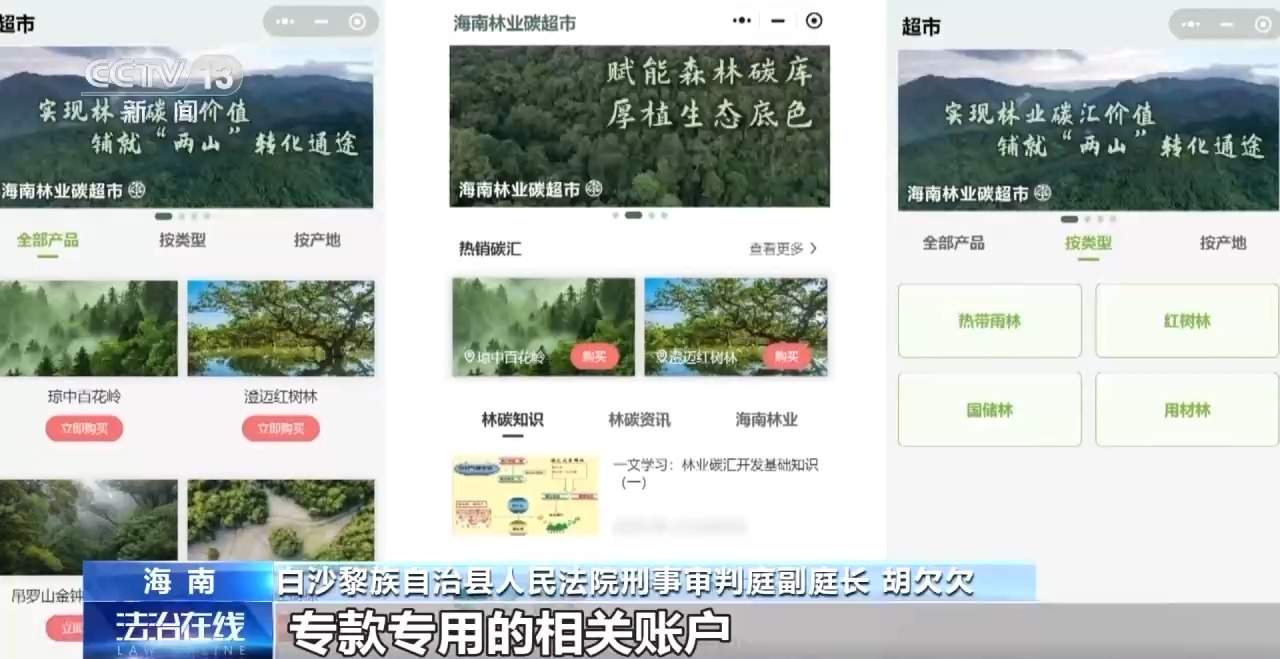 结伙徒步进山 多次在国家公园盗伐珍贵名木 26人被判刑