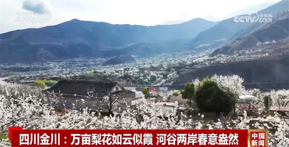 春日中国活力无限 “赏花+”模式升温成为促发展新引擎