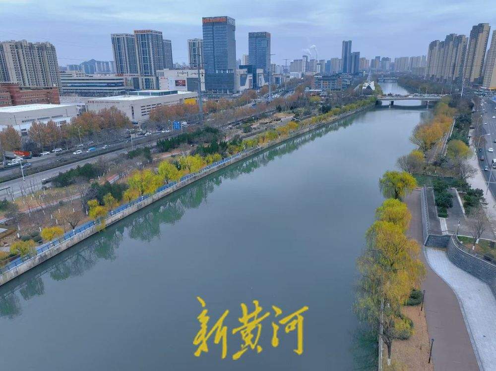 一年四季 泉在济南丨小清河岸畔垂柳披金，冬日韵味渐浓