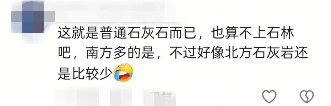 山东一地现石林奇观，下面有溶洞或黄金？当地：或为普通灰岩，可利用价值不大