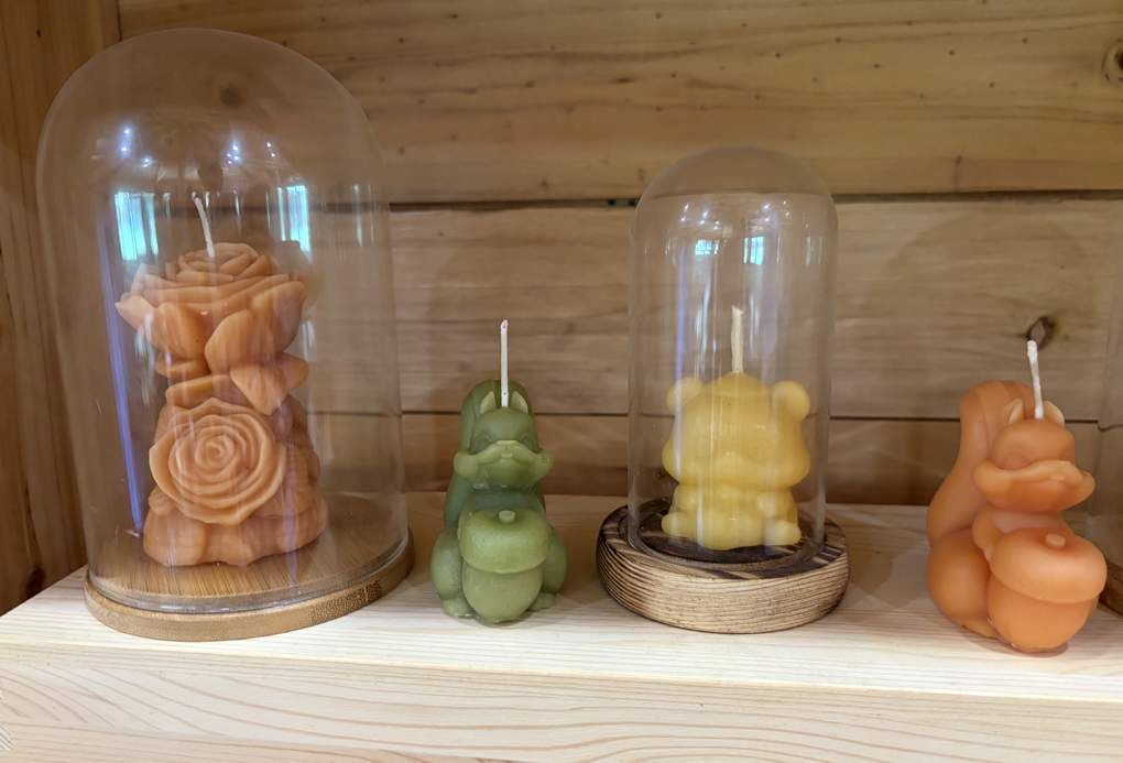 神奇变身!熊猫粑粑竟然能用来造纸、做香薰蜡烛