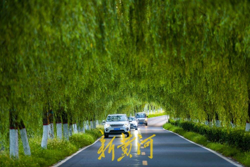 过往货车如剪刀 造就柳荫隧道