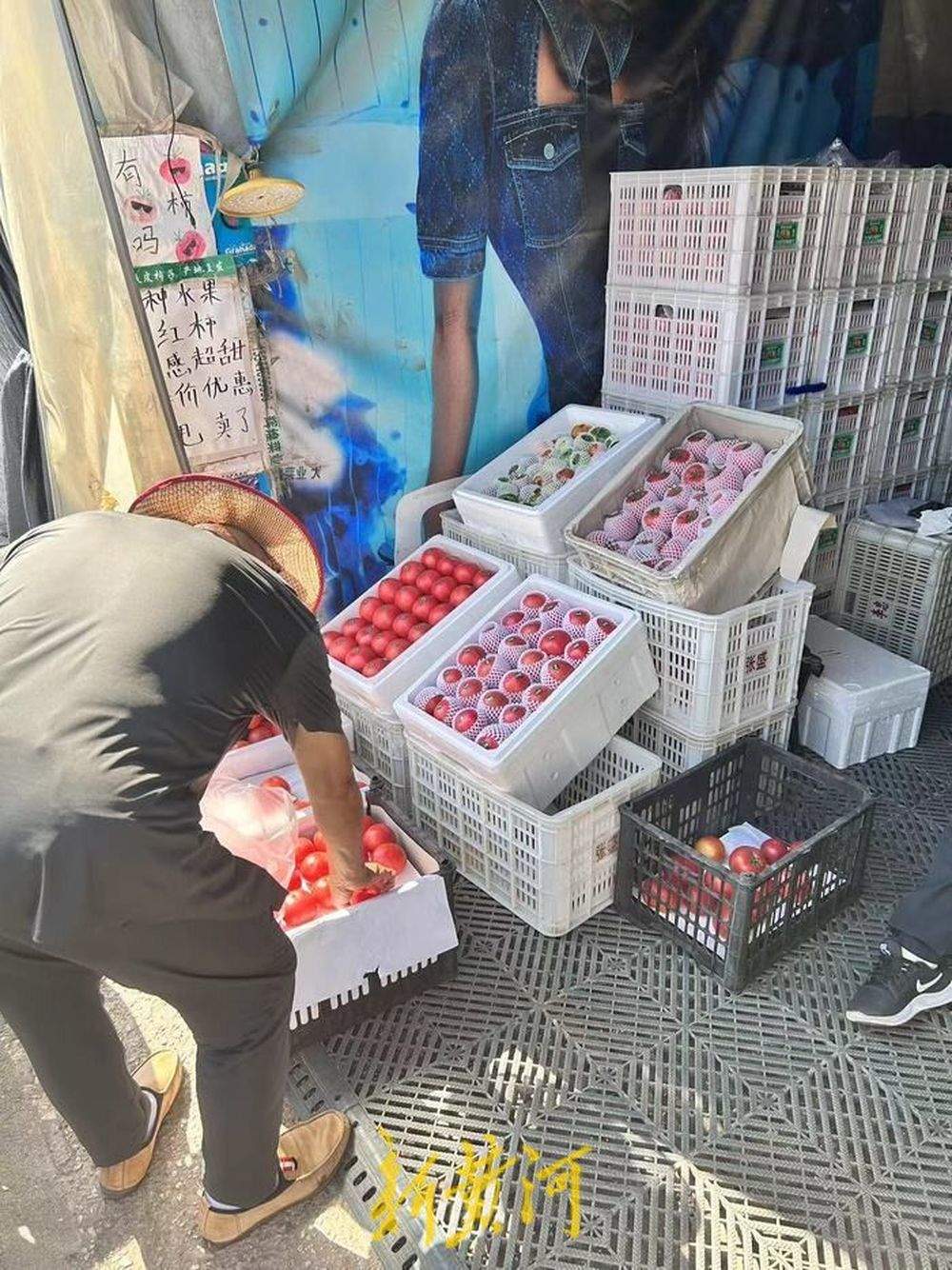 济南水果上市量环比上涨1.7%，西瓜价格触底反弹