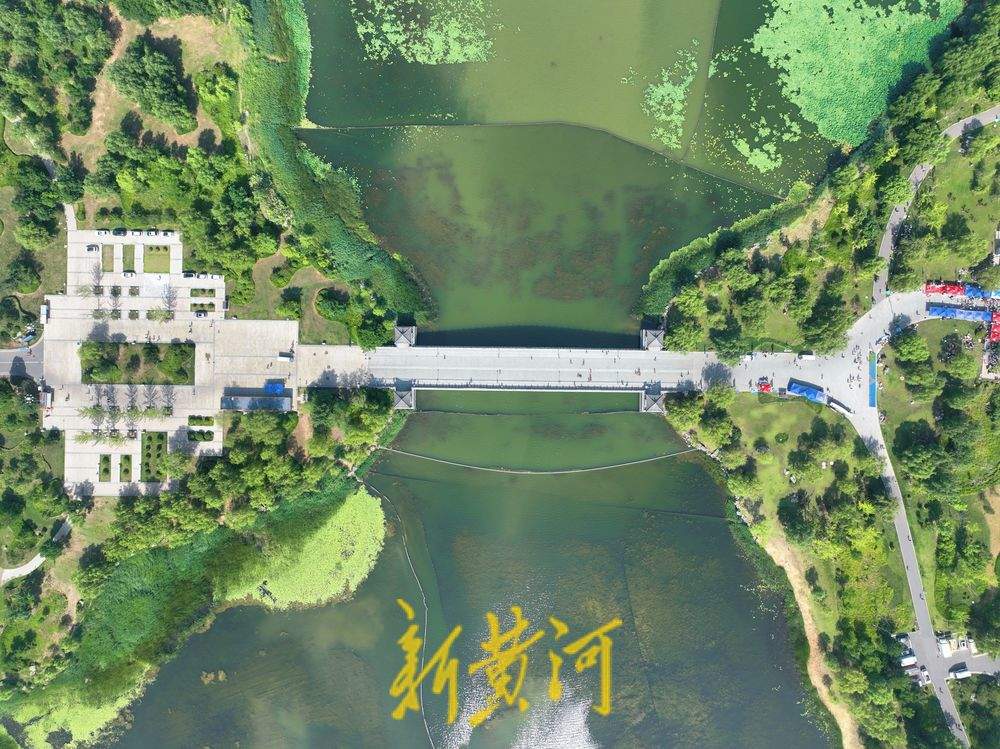 雨后华山湖云雾缭绕 翠柳点缀