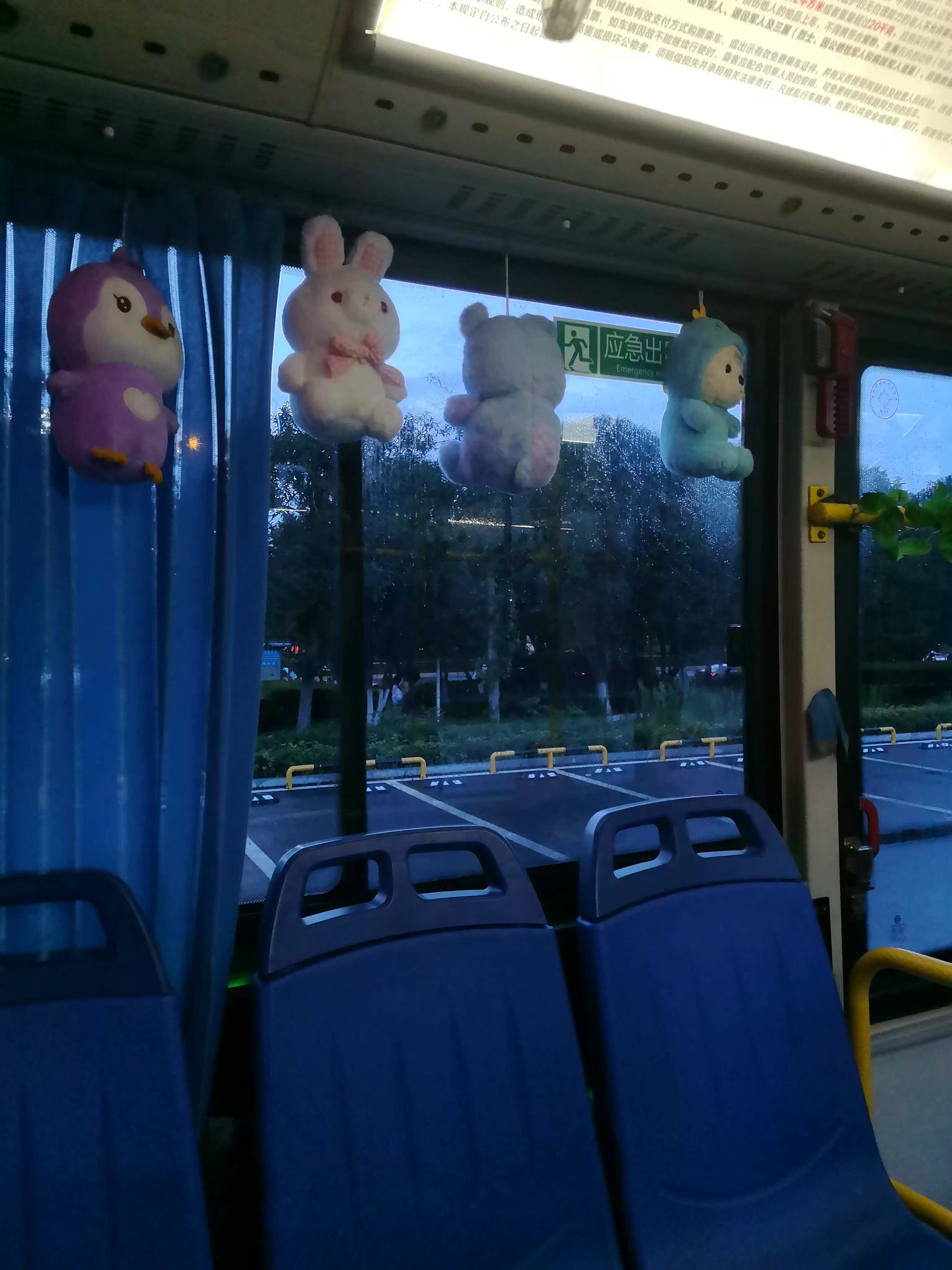 挂满绿萝和玩偶，邵阳司机大姐自费900元装饰公交：工作环境也可以像家一样舒适温馨