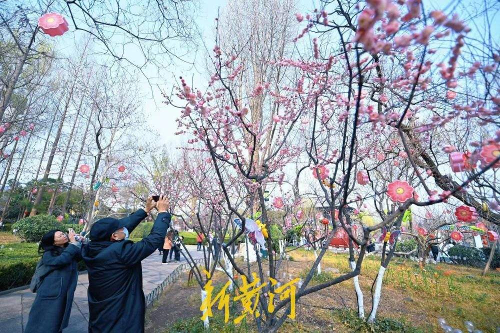 济南五龙潭泉畔红梅盛开，游人争相打卡享春光