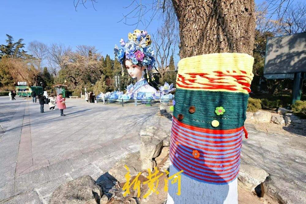 济南大明湖冬柳穿新衣！色彩斑斓织出多彩冬天