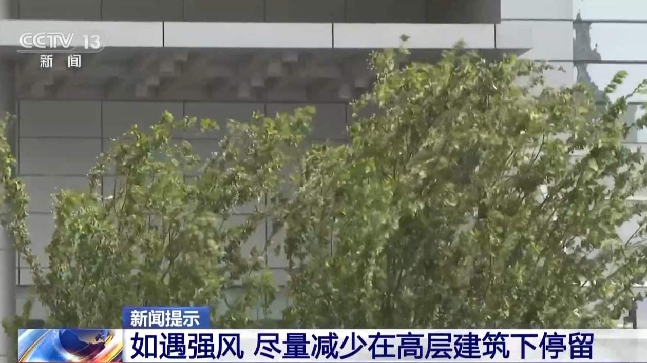 强风天气外出要避免“狭管效应” 安全指南请收好
