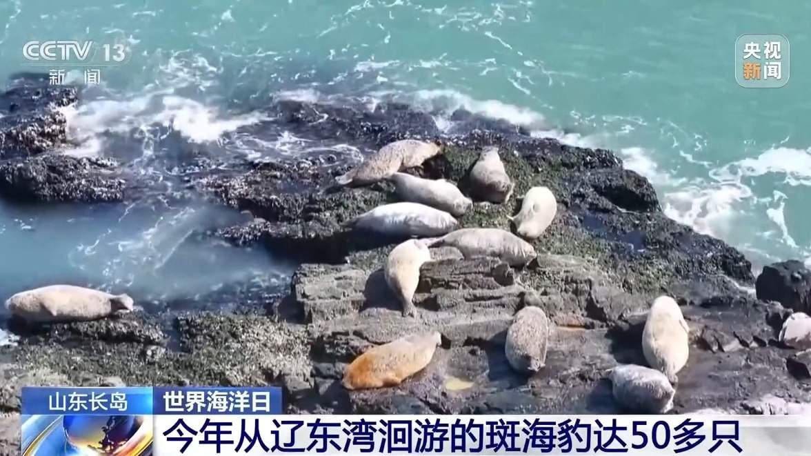 我国海洋能开发利用技术已迈入世界第一方阵