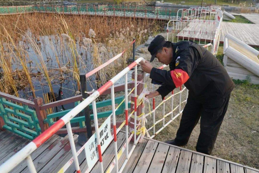 黑天鹅死因查明后，圆明园加设保护措施！现场直击