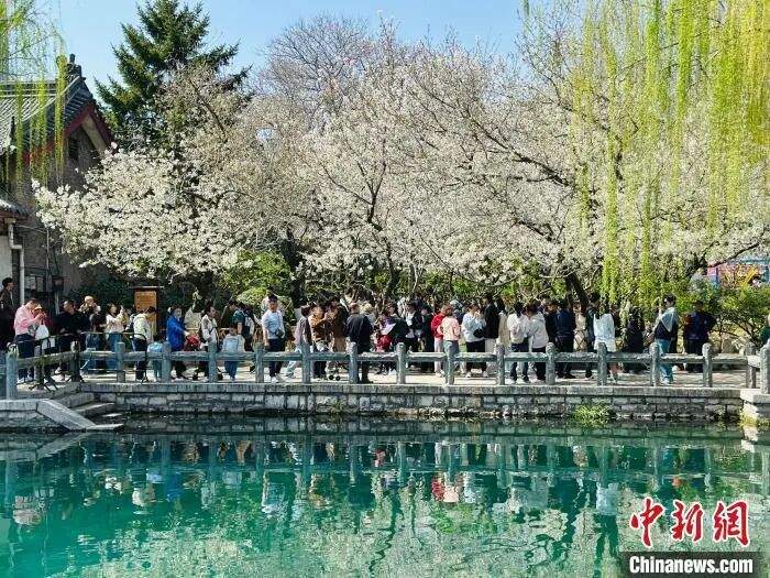 人这一辈子，一定要去济南赏一次泉！