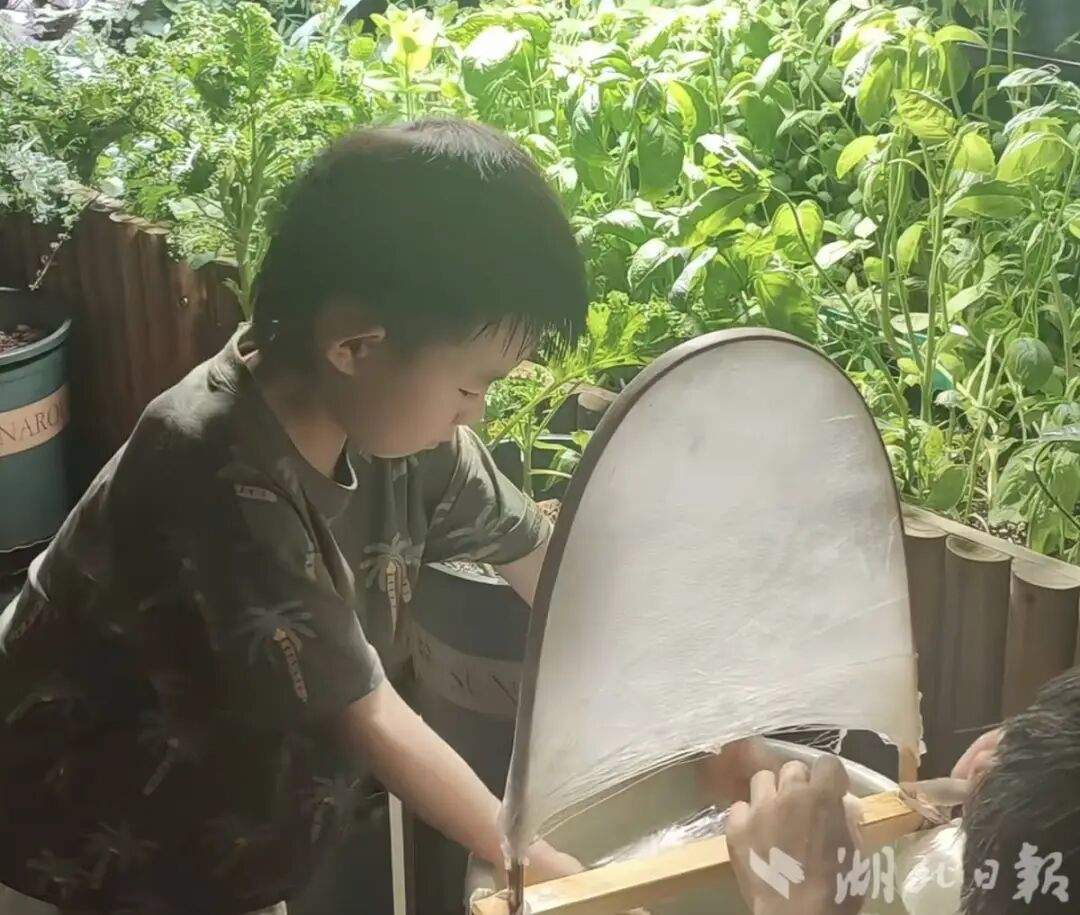 儿子说想做蚕丝被，妈妈网购1万粒蚕卵，耗时64天手搓两床蚕丝被