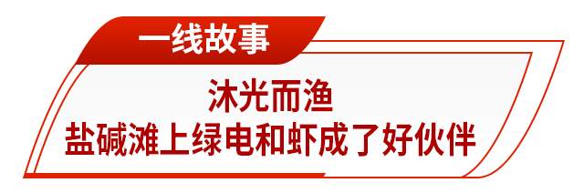 走在前 挑大梁丨一场绿色变革正重塑发展基因