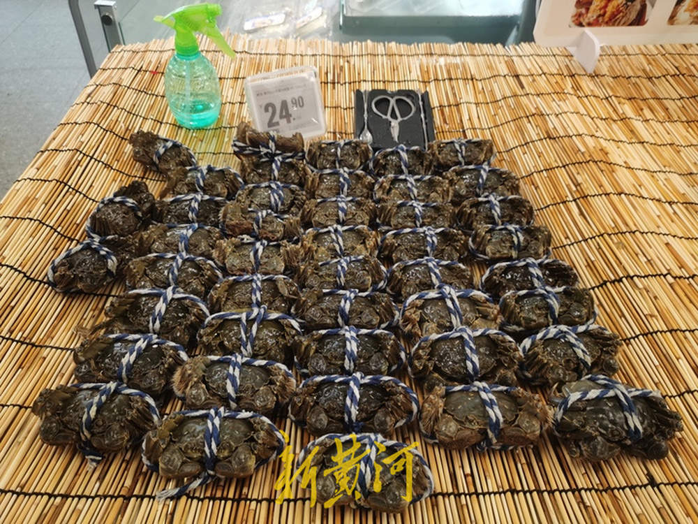 大闸蟹即将批量上市，济南市场9成以上是南方蟹