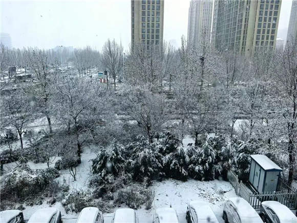 下雪了!济南“大雪花”刷屏