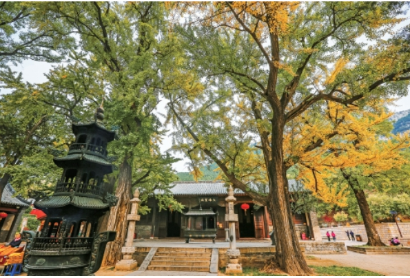 “黑神话”带火济南古建游，灵岩寺、四门塔景区即将推出新玩儿法