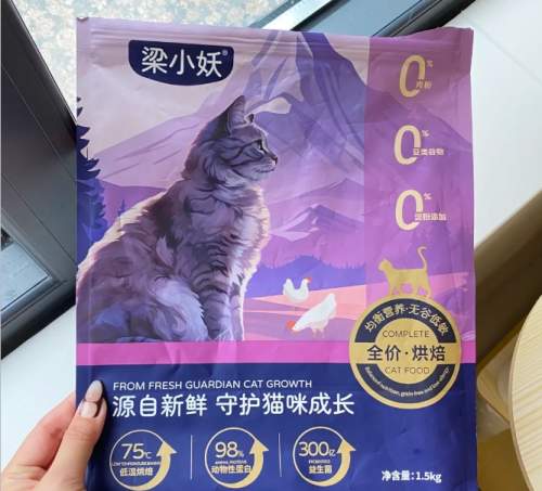 2026年科学选猫粮：不同年龄猫咪的粗蛋白含量标准与选购技巧