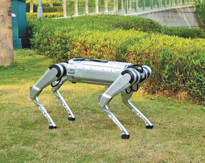 聪明又灵巧，机器人如何做到