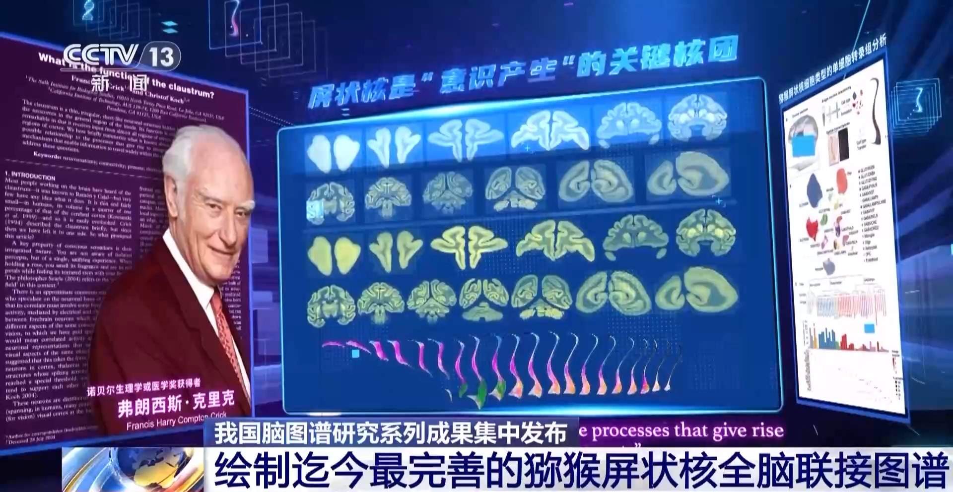 我国脑图谱研究系列成果集中发布 珍贵数据供国内外学者研究