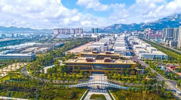 南来北往、热辣滚烫……你爱看的“电子年货”山东承包了