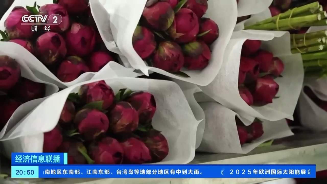 康乃馨、芍药热卖 母亲节多地鲜花销售火爆