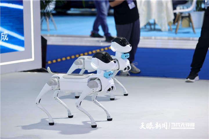 聚焦2026数博会｜从展会到生活，大数据和你我他有什么关系