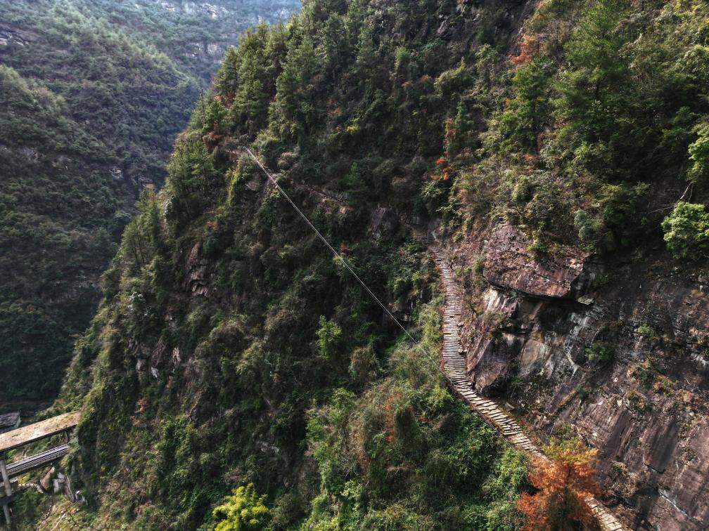 古老蜀道渐展真颜！新发现文物遗存297处