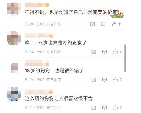 网红“表情包”原型确认去世