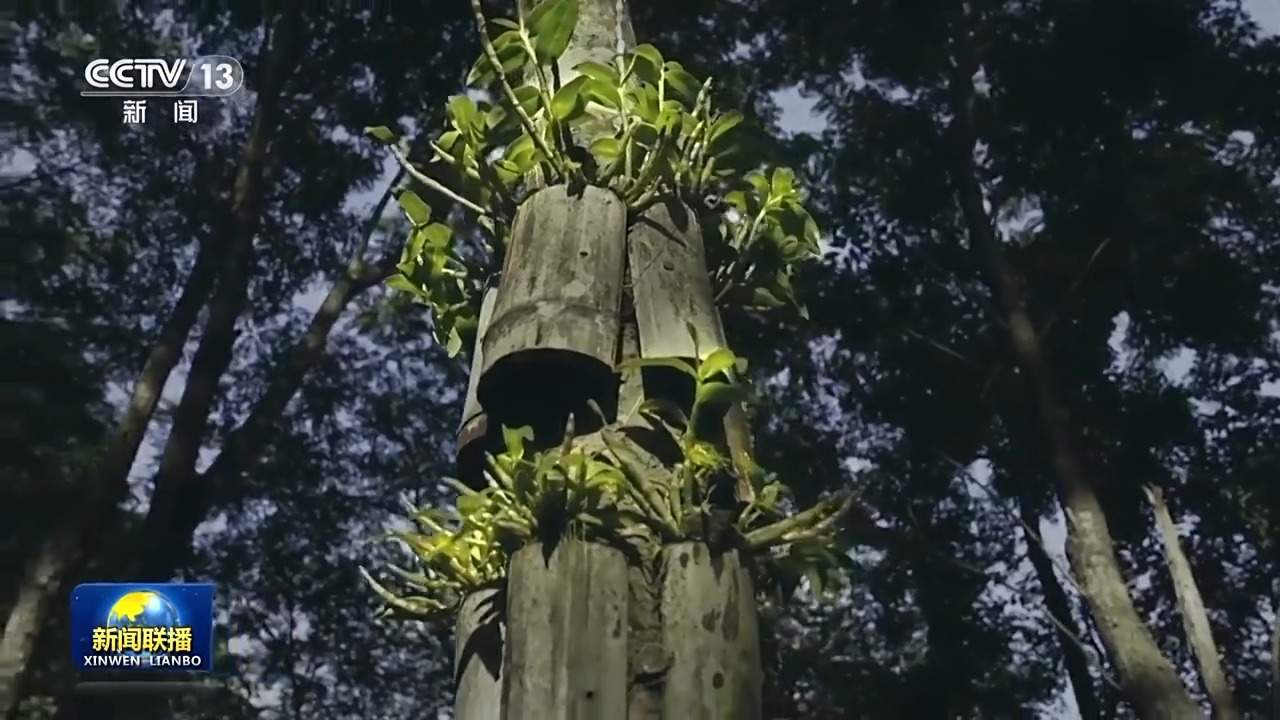 感知生态之变丨绿水青山就是金山银山