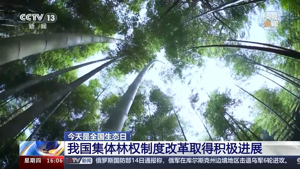 我国森林覆盖率超24%！还有这两项数据，居世界第一