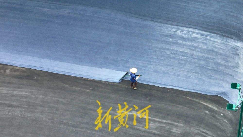泉城首个匹克球主题公园落户省体