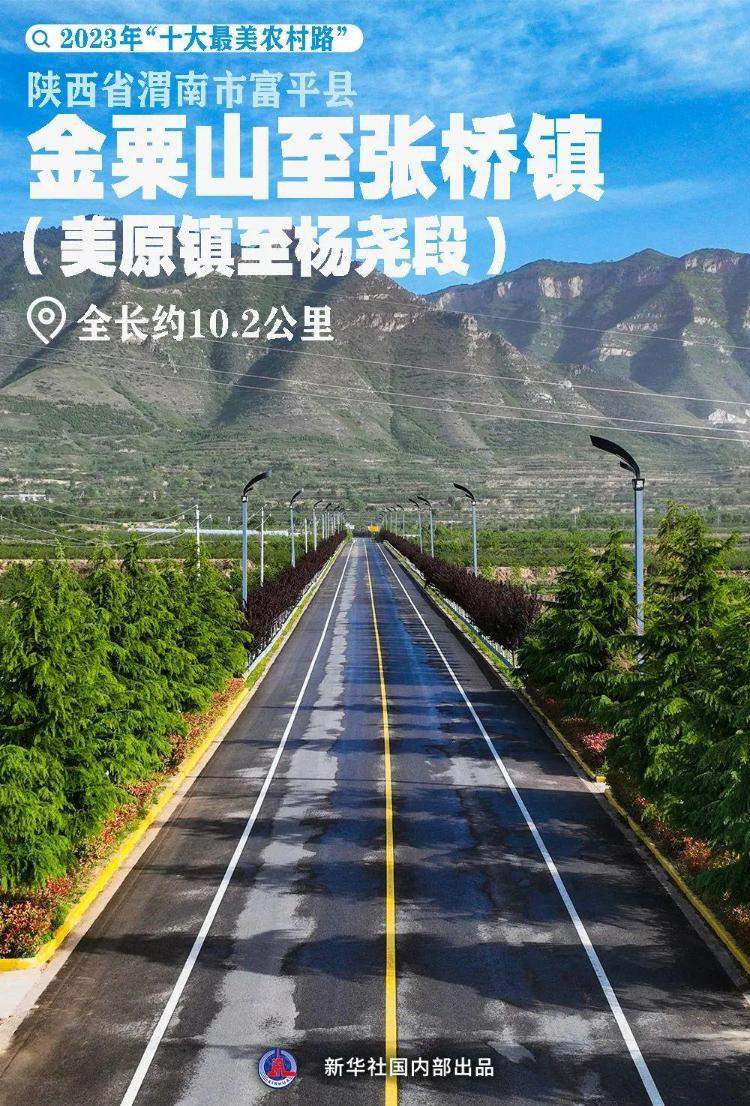 年度“十大最美农村路”！山东莱阳市莱高线上榜