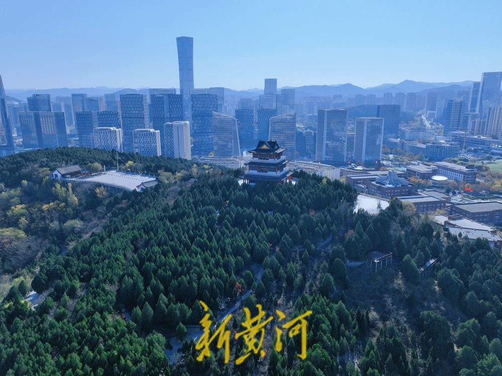 初冬胜景 大山坡公园繁茂林木扮靓泉城