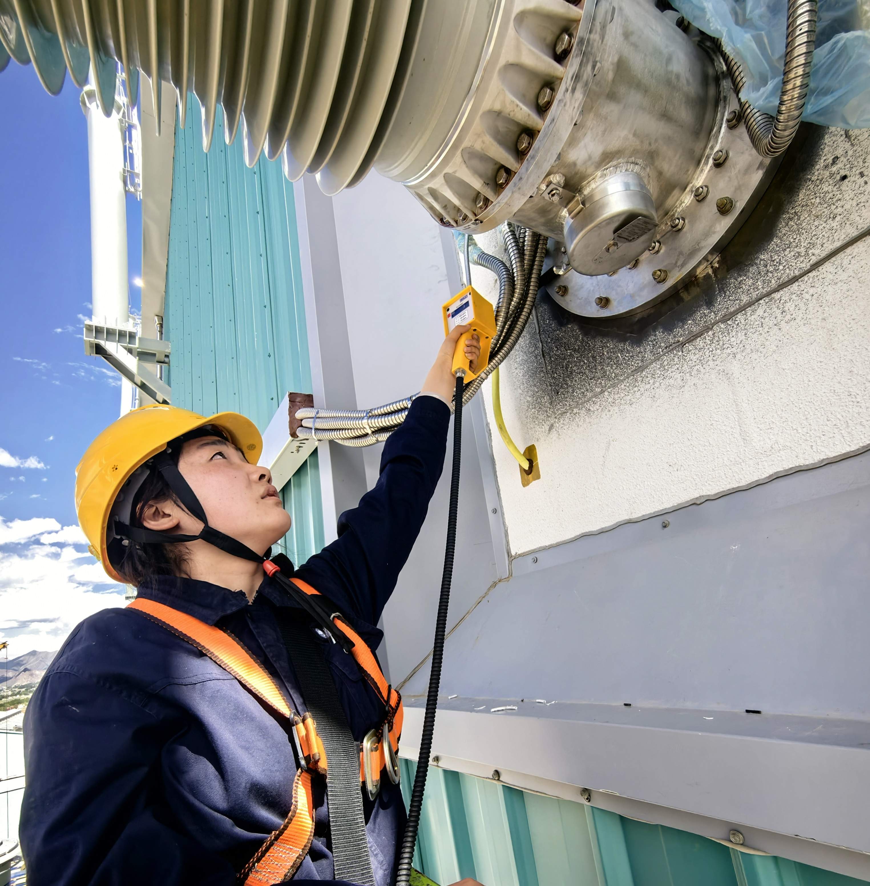 绽放在电力天路上的“雪域格桑花”