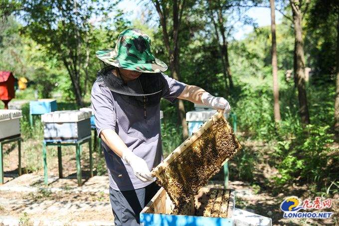 在南京，质量是什么？