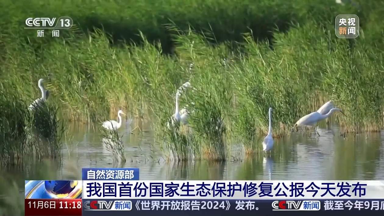 我国首份国家生态保护修复公报今天发布