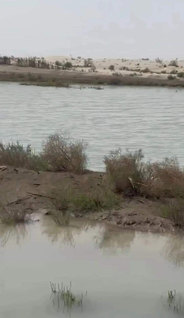 塔克拉玛干沙漠发洪水，当地牧民：并不罕见