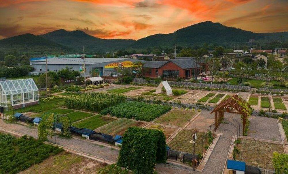 带孩子去田野！济南10处研学基地开启四季农耕之旅