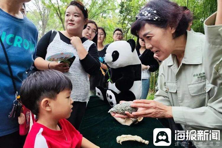 “零距离”邂逅国宝!济南动物园大熊猫教具展示驿站上线啦