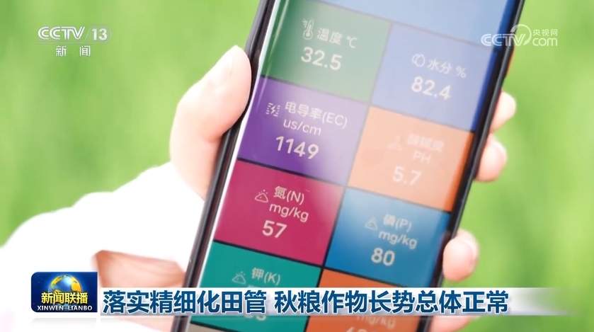 落实精细化田管 秋粮作物长势总体正常