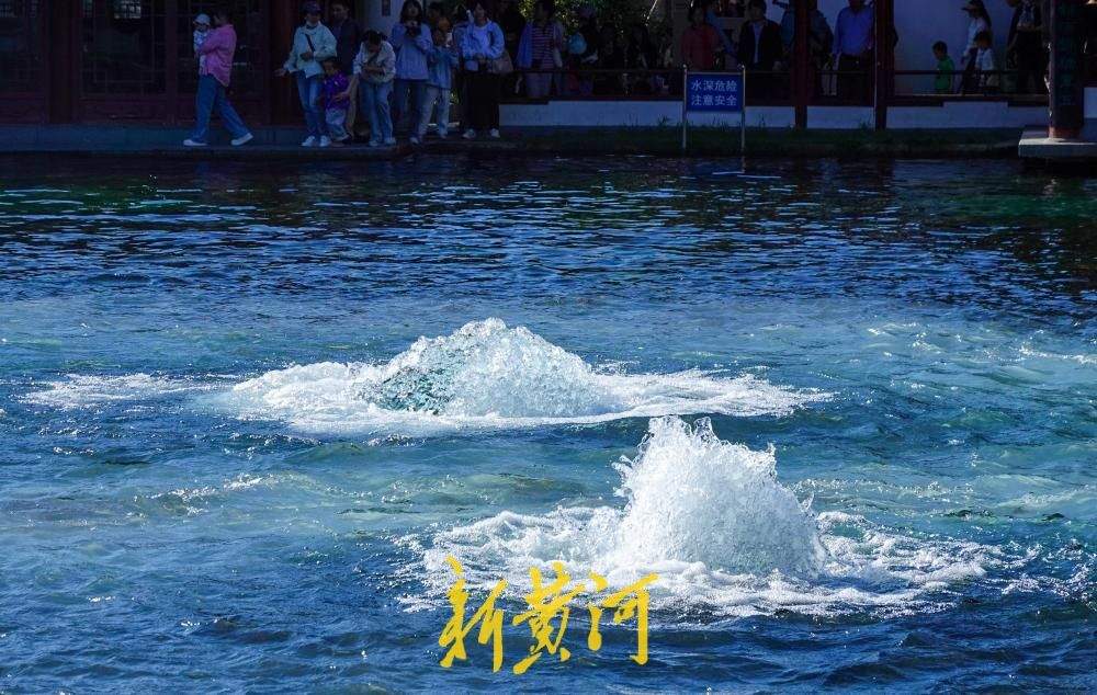 五泉齐涌如梅绽，国庆假期百脉泉公园梅花泉盛涌迎客