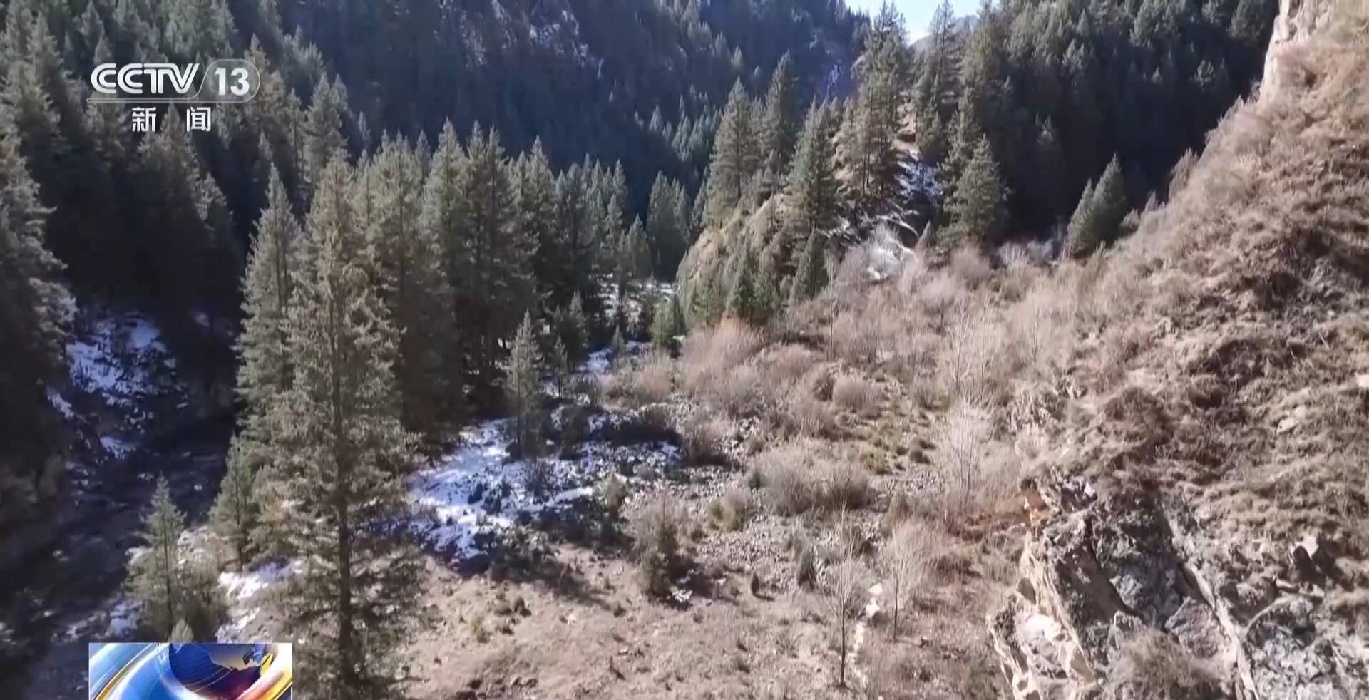 雪豹、岩羊频频露脸 祁连山稳步迈向“由治及美”