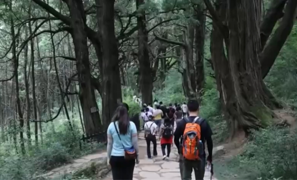 “冰雪+补贴”“彩林+温泉”“秋假+研学”齐发力 文旅市场激荡消费新活力