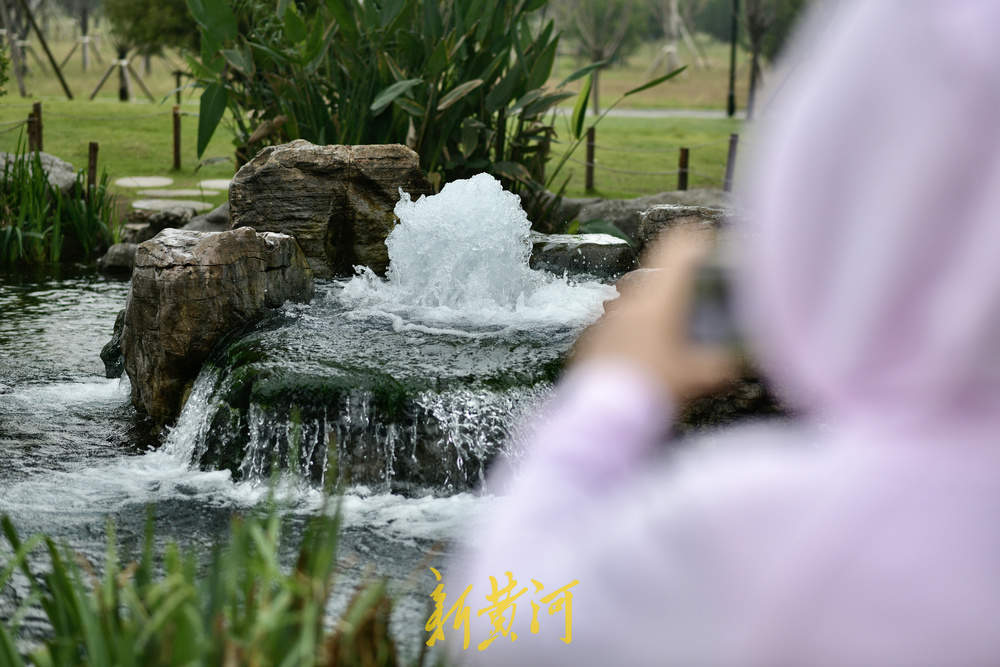 地下水位连日攀升 白泉现“喷珠溅玉”胜景