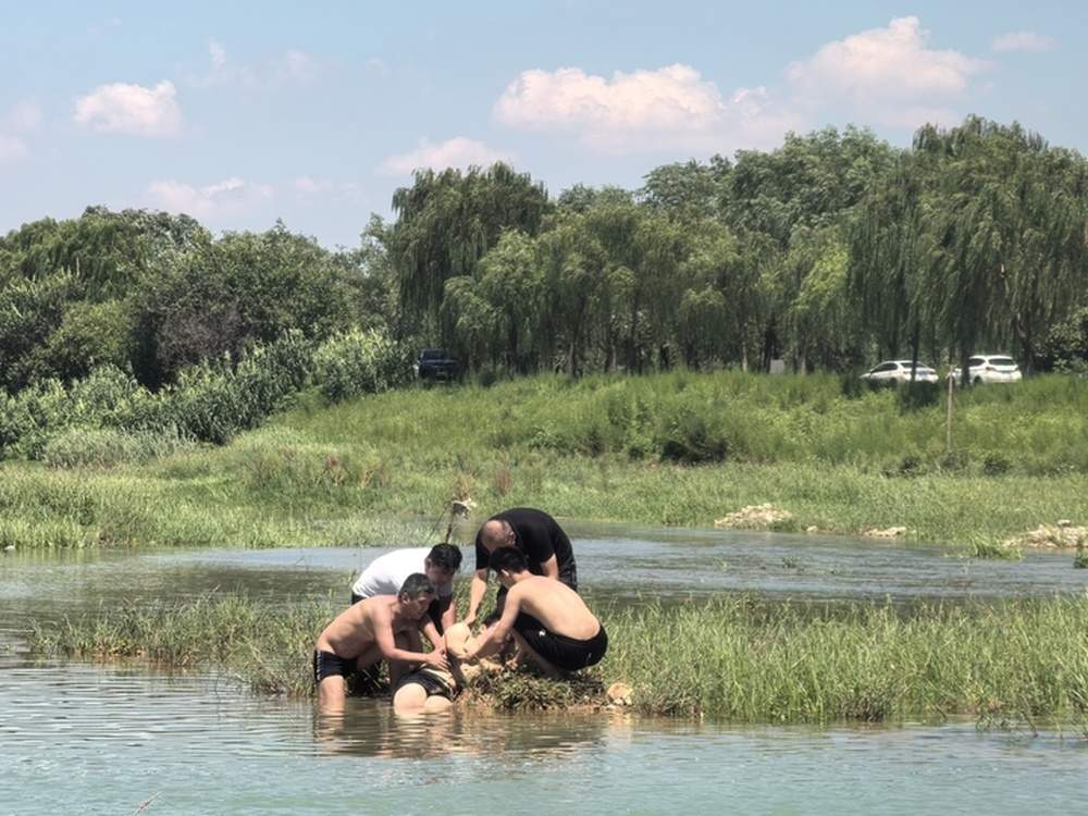 玉符河纵身一跃，激荡起泉城暖流——92小时“寻侠记”