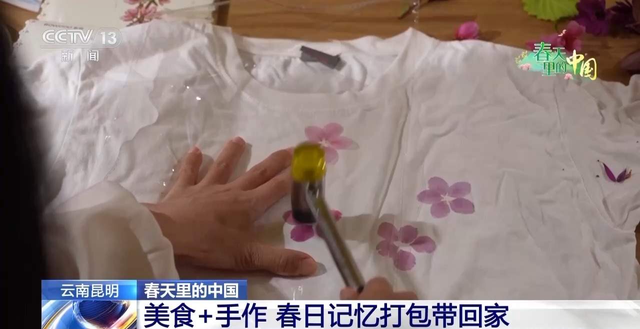 各地春日赏花有哪些好去处？请看这份赏花攻略